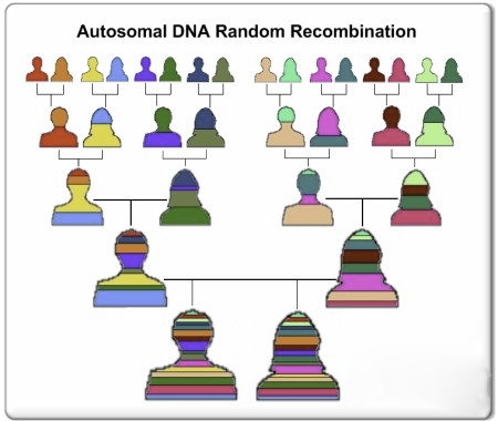 atna-recombination